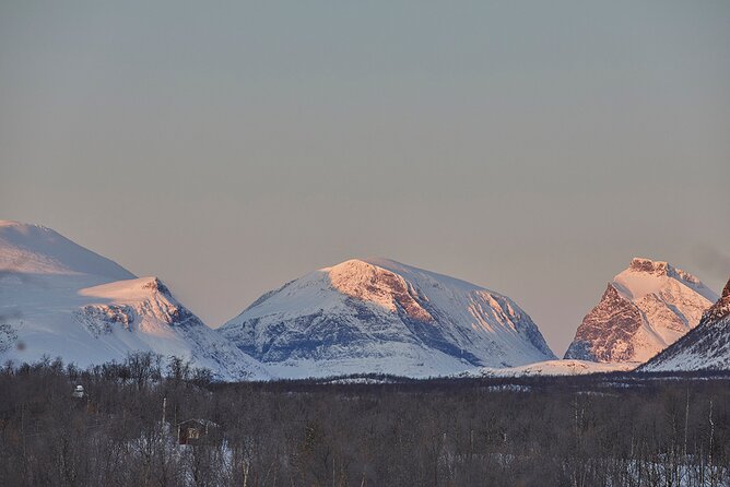 Half day Wildlife and Nature Photography - Four hours in Kiruna with a camera in hand