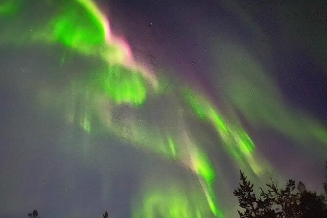 Husky Sled Ride Northern Lights Tour from Kiruna - Key points to know before you book