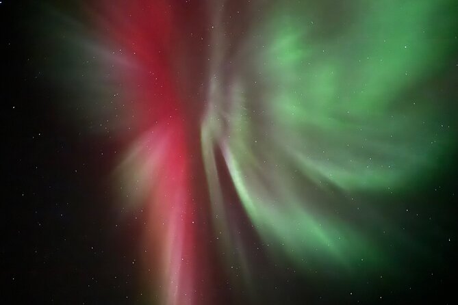 Husky Sled Ride Northern Lights Tour from Kiruna - A husky ride with the aurora as the bonus