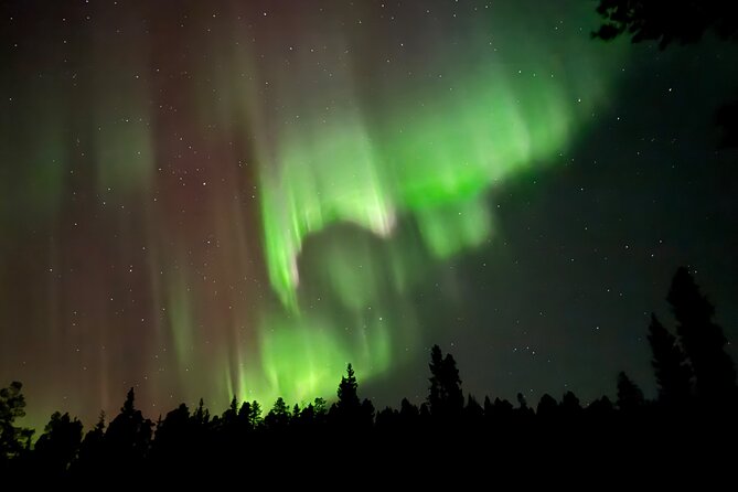 Husky Sled Ride Northern Lights Tour from Kiruna - What the $194.04 price buys you