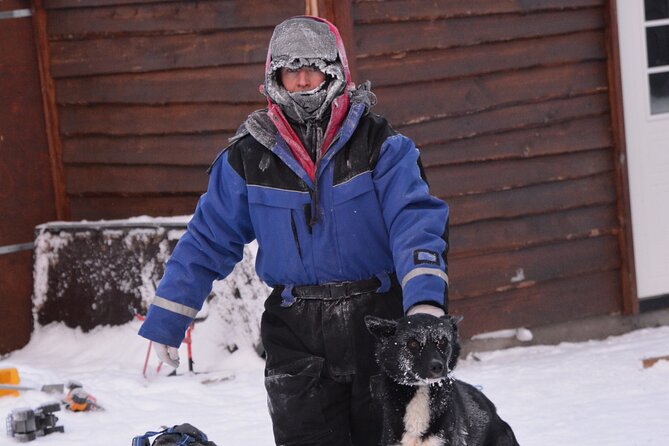 Husky Tour Sit and Drive Combo Tour from Kiruna - Taking the reins outside Kiruna