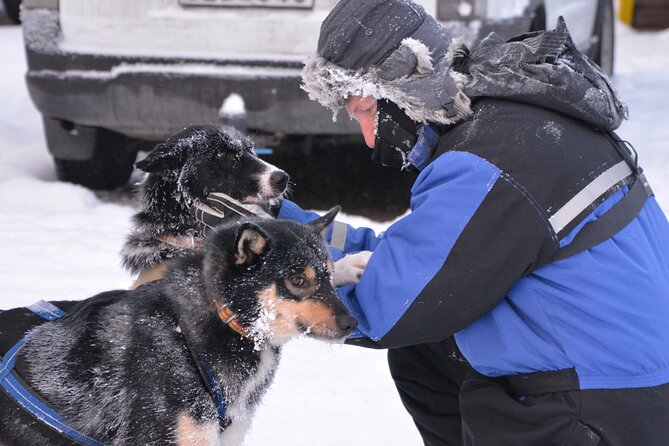 Husky Tour Sit and Drive Combo Tour from Kiruna - Pickup, timing, and the meeting point
