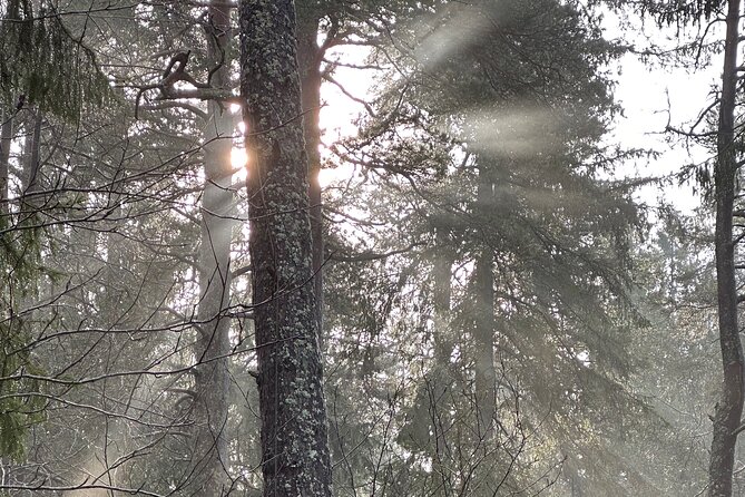 Icebathing and Sauna, Forest Hike and Fireplace Lunch - Private - Taking the optional lake plunge