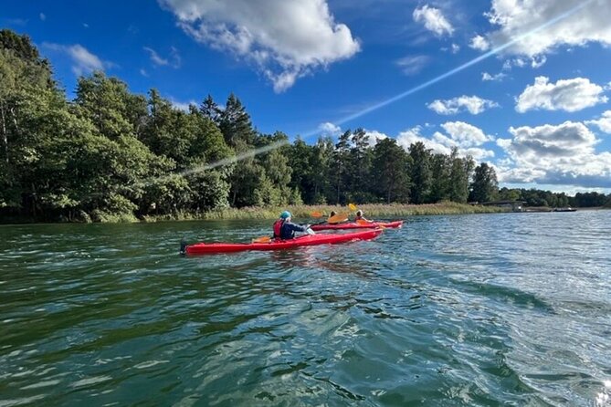 Kayak Tour in the Stockholm Archipelago with Lunch Meal - A cooked lunch far from the city