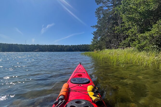 Kayak Tour in the Stockholm Archipelago with Lunch Meal - What the guides add to the day
