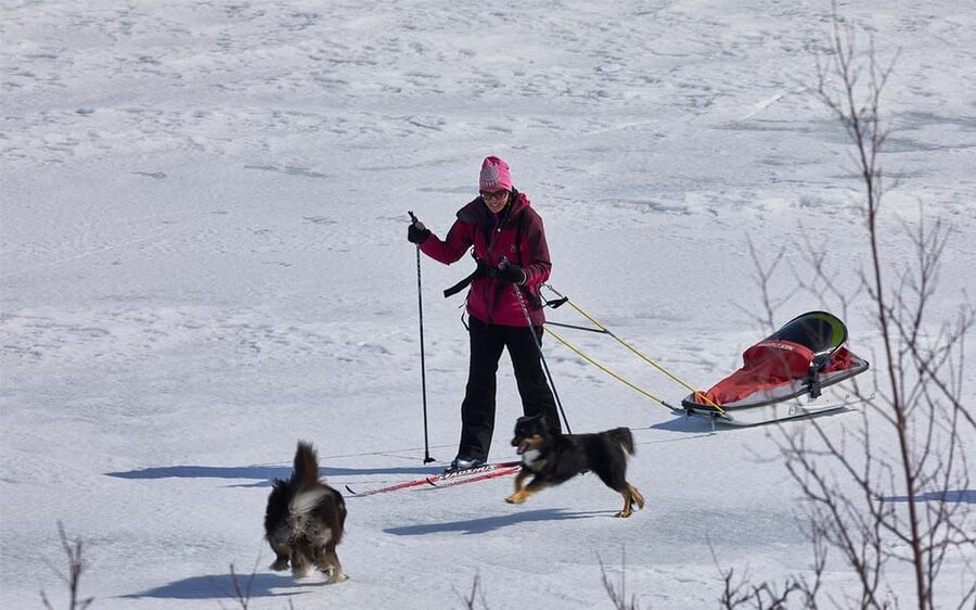 Kiruna: Cross-Country Skiing Tour with a Guide - A Three-Hour Route With Room to Adjust
