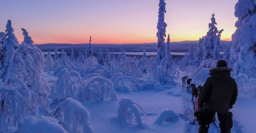 Kiruna: Guided Afternoon Drive Your Own Dog Sled Tour - Meeting the huskies at Kalixforsbron