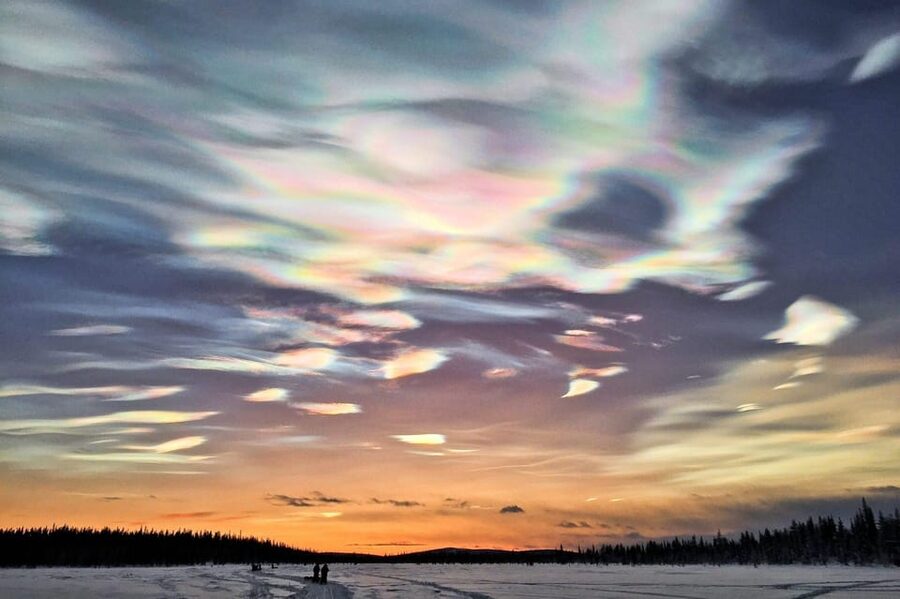 Kiruna: Morning Husky Sled Ride with Coffee Break - Is $177 a fair price?