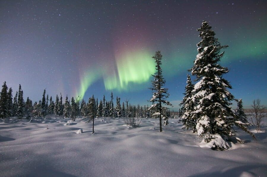 Kiruna: Northern Lights Minivan Chase with Warm Drink - What the four-hour route is really like