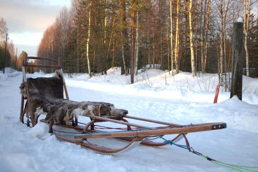 Luleå: Guided Dog Sledding Tour - What $188 buys you