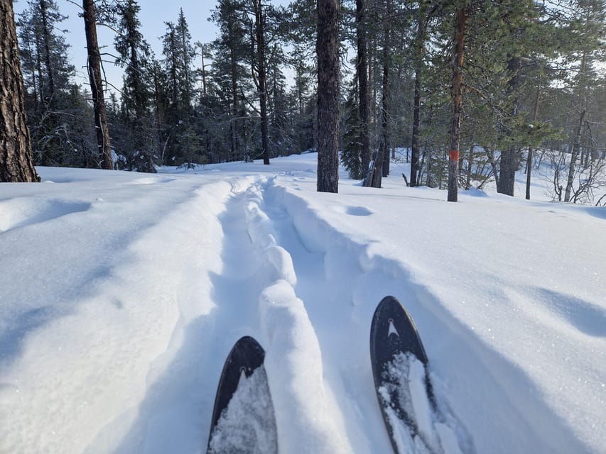 Luleå: Nordic Touring Skiing Adventure - Key points before you book