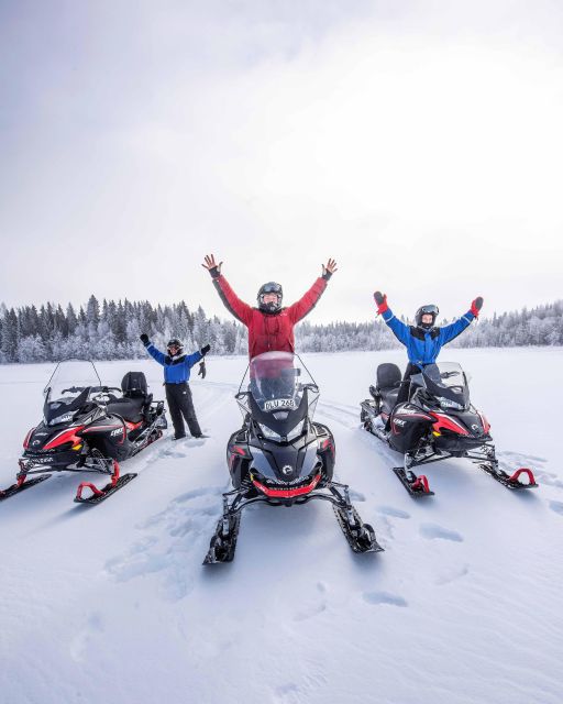 Luleå : Snowmobile - Forest and Ice Nature Tour 2h - Key points to know before booking
