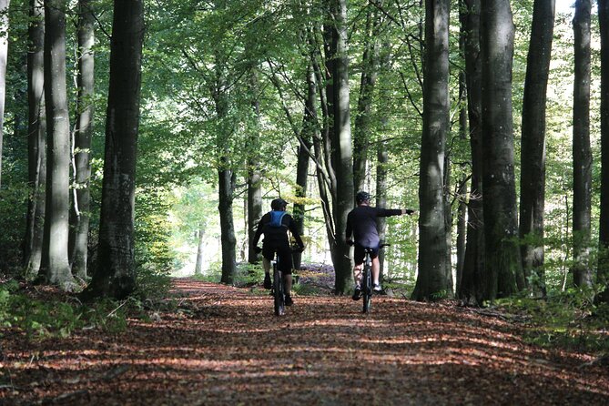 Malmo Bike Rental - Key points to know before you book