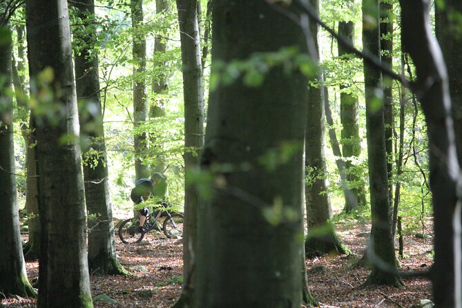 Malmo Bike Rental - Why a Malmö bike is a smart way to see the city