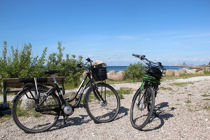 Malmo Bike Rental - Timing, return arrangements, and group size