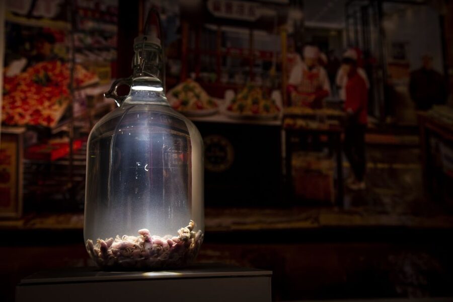 Malmö: Disgusting Food Museum Entrance Ticket - The chili challenge is optional, but memorable