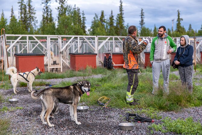 Meet 70 Huskies and Enjoy a short ATV Tour with the Huskies - Preparing the 8 to 10 dog training team