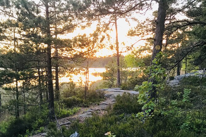 Midnight Sun and Campfire - National Park evening hike Stockholm - Walking where the forest feels older than the city