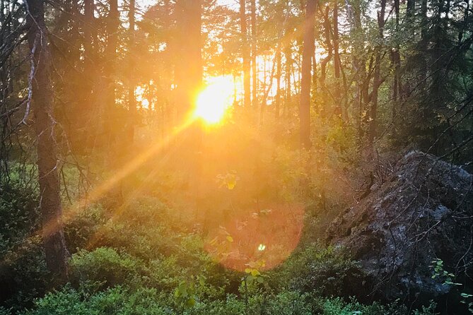 Midnight Sun and Campfire - National Park evening hike Stockholm - A lakeside meal cooked over fire