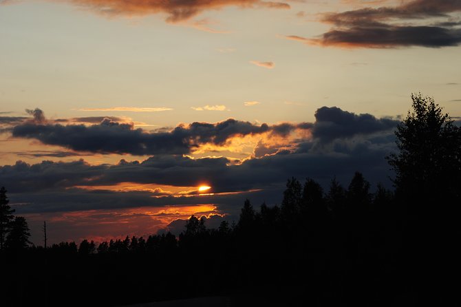 Moose safari in the wild Sweden Tiveden - The minivan search around Tiveden National Park