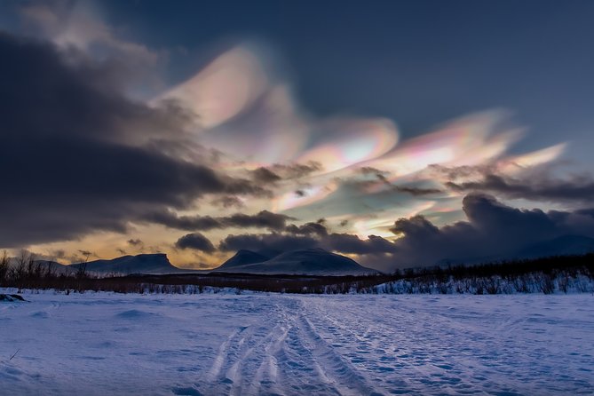 Morning hike in Abisko National Park - Guides who add more than directions