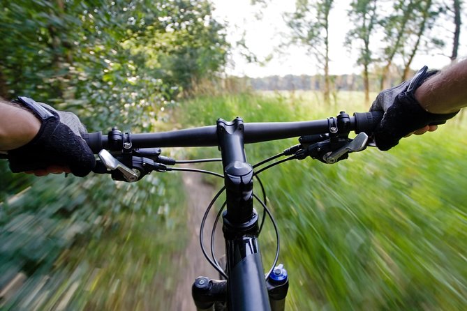 Mountain Biking Small-Group in Stockholm Forests for Beginners - The opening lesson sets the tone