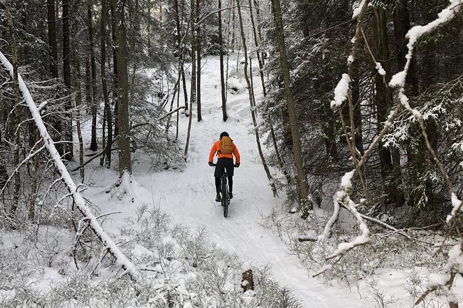 Mountain Biking Small-Group in Stockholm Forests for Beginners - Lakes, Erstaviken, and a possible swim