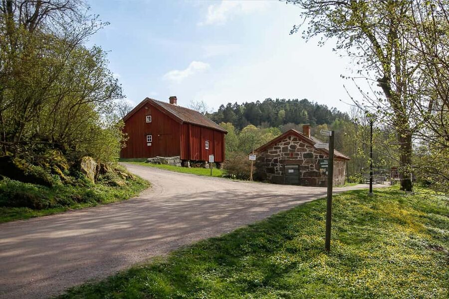 Nordens Ark Entry Ticket - Visit the Turtle Ark