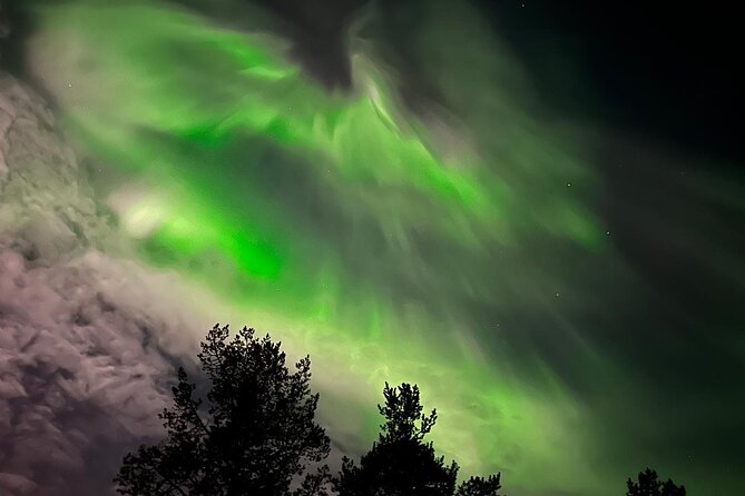 Northern Light hunt with minibus to Abisko 7:30 pm - Guides, local help, and the small-group advantage