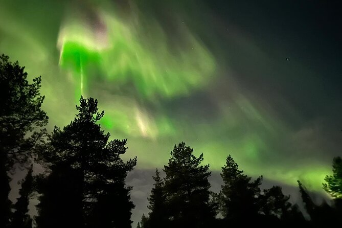 Northern Light hunt with minibus to Abisko 7:30 pm - Hot drinks, cake, and the cold