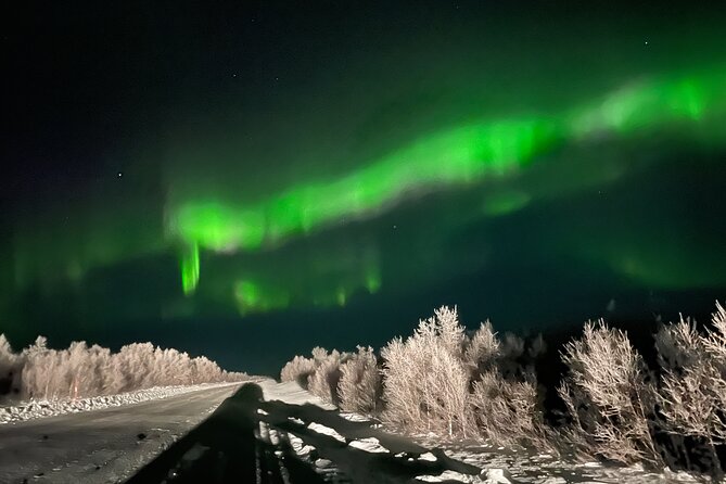 Northern Light hunt with minibus to Abisko 7:30 pm - Lapporten, the mountain gateway