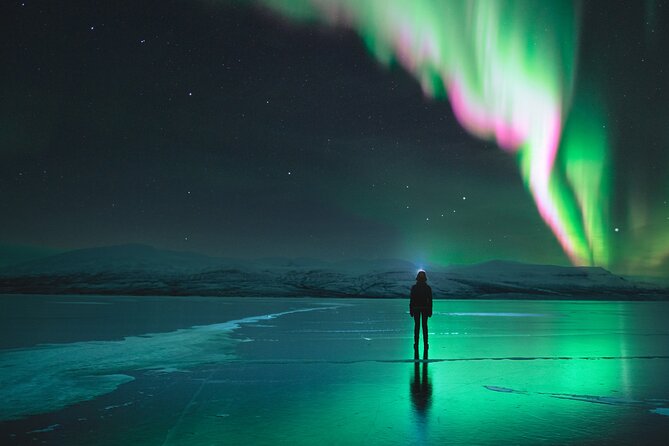 Northern Lights Photo Expedition Dinner Included from Abisko - Key points to know before you book