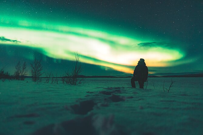 Northern Lights Photo Expedition Dinner Included from Abisko - How the photography support works