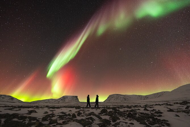 Northern Lights Photo Expedition Dinner Included from Abisko - Warm suits and lingonberry tea