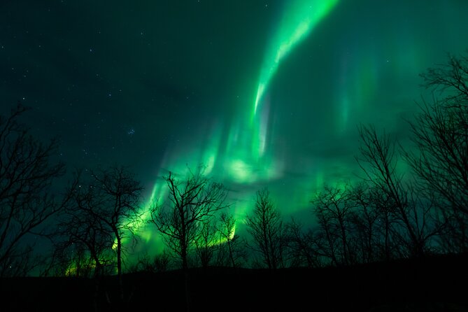Northern Lights Tour from Kiruna to Abisko with Dinner - Key points before you book