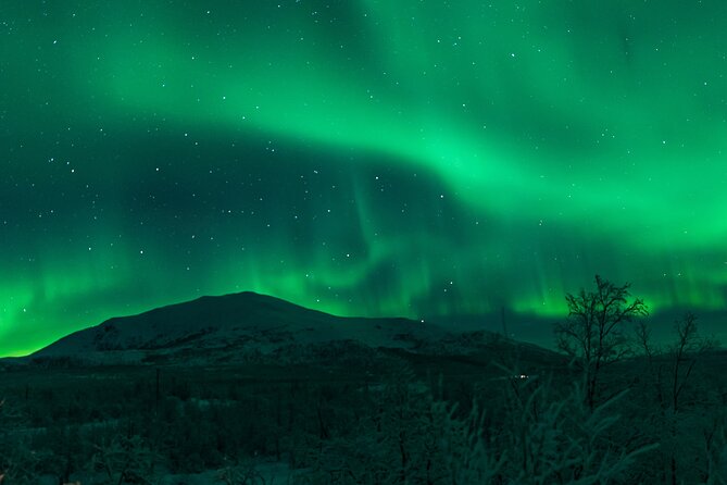 Northern Lights Tour from Kiruna to Abisko with Dinner - Campfire, hot drinks, and the reality of Arctic cold