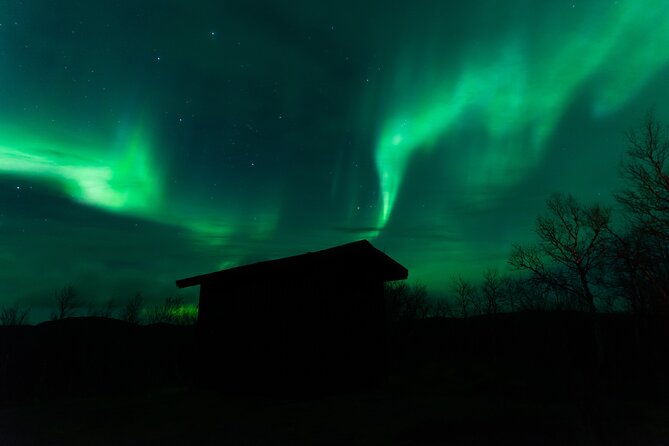Northern Lights Tour from Kiruna to Abisko with Dinner - What the guides add to the evening