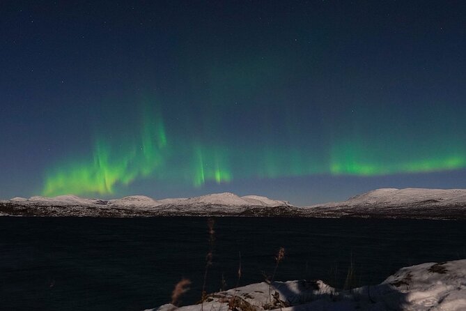 Northern Lights Tour from Kiruna to Abisko with Dinner - Group size, age, and physical demands