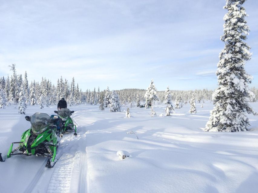 Polar Nature Tour on Snowmobile - Key points to know before booking