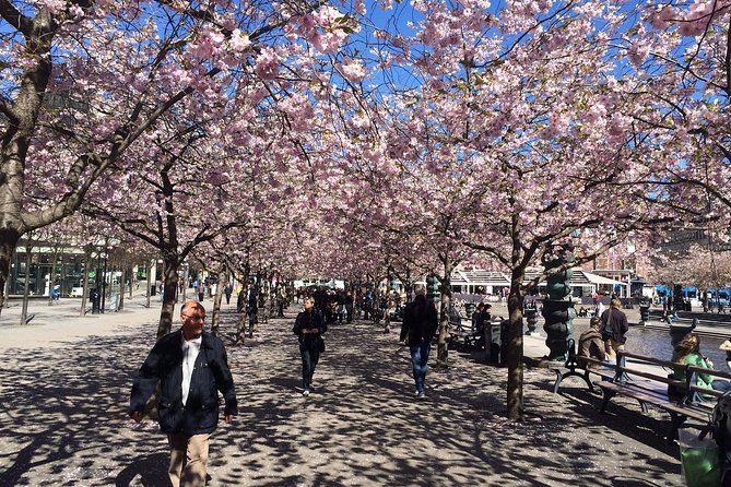Private 4h VIP city tour by limousine car and guide in Stockholm - Is $395 per person good value?
