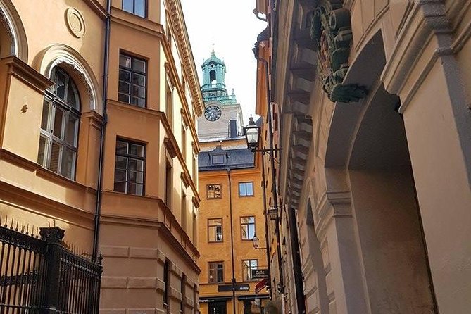 Private Car Tour of Stockholm with a Live guide, including the Vasa museum. - Meeting the Vasa, Stockholm’s unforgettable ship