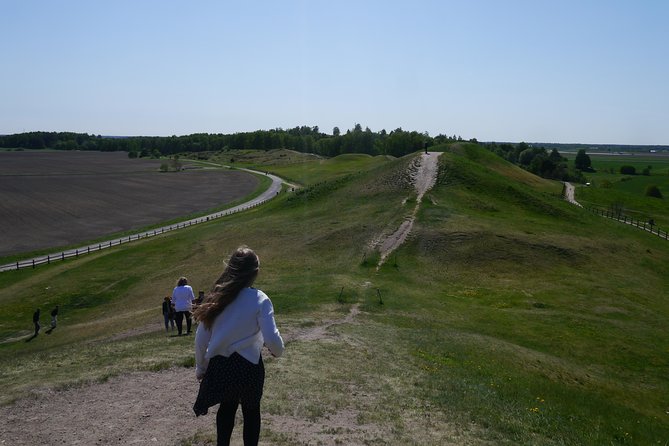 Private Full Day Viking History Tour from Stockholm Including Sigtuna and Uppsala - Uppsala Cathedral and the medieval city