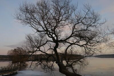 Private Sigtuna Tour from Stockholm – Oldest Town of Sweden
