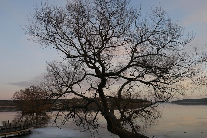 Private Sigtuna Tour from Stockholm - Oldest Town of Sweden - The drive from Stockholm and the 9:30 start