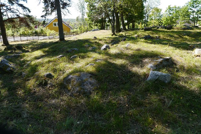 Private Tour: 3h Viking History from Stockholm to Runic Kingdom - Stop three: Arkils tingstad, where law was a public matter