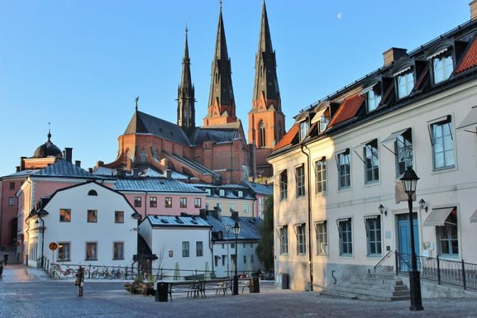 ROYAL Uppsala and VIKING Sigtuna PRIVATE Tour - What the guide adds to old stones