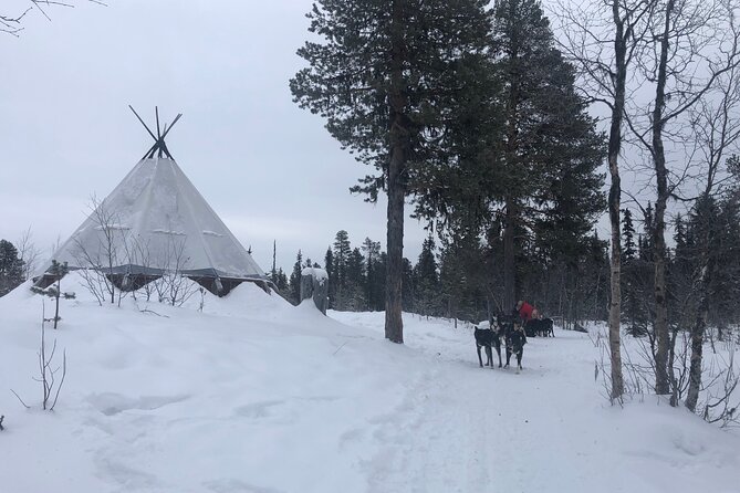 Sit Back and Relax Morning Husky Tour - Warm clothing helps, but dress for the Arctic anyway