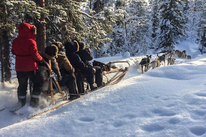 Sit Down Husky Ride Dog Sled Tour in Kiruna - Key points to know before booking