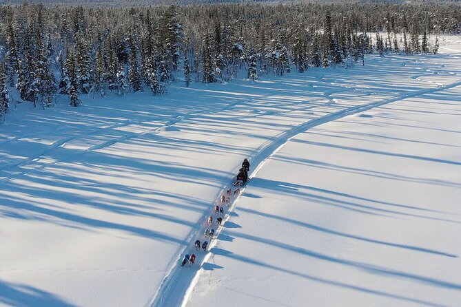 Sit Down Husky Ride Dog Sled Tour in Kiruna - The lavvu stop, coffee, cake, and dog time