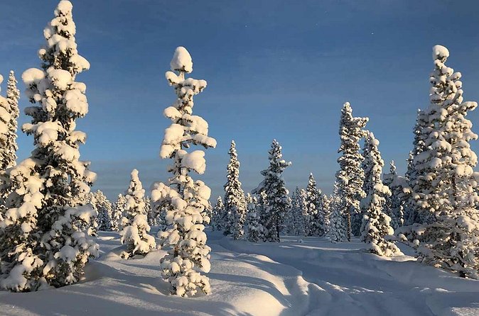 Snowmobile Arctic Adventure - A fire, a wooden hut, and Lapland lunch